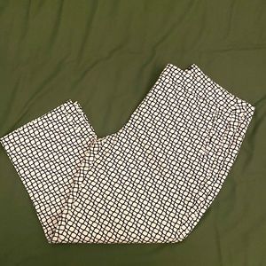 Adrianna Papell Cropped Pant